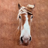 Tissu Jersey Stenzo imprimé cheval brun