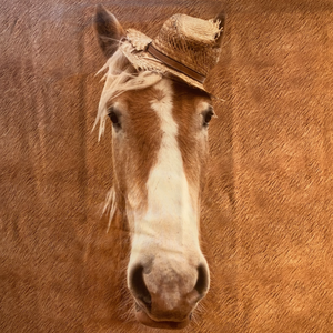 Tissu Jersey Stenzo imprimé cheval brun