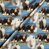 Tissu jersey chevaux fond bleu