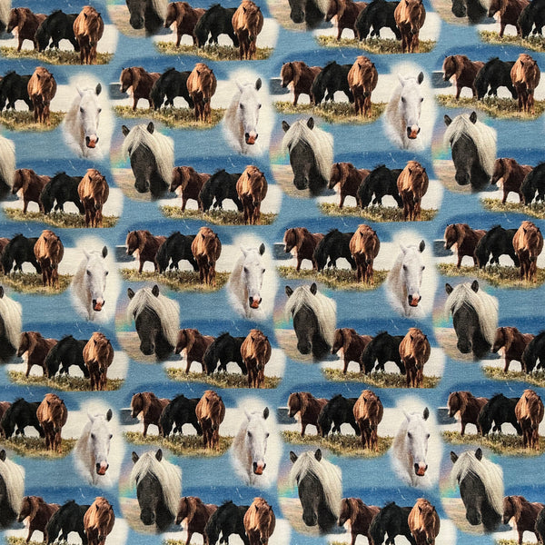 Tissu jersey chevaux fond bleu