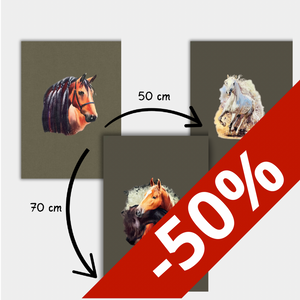 Tissu Jersey Stenzo portrait chevaux