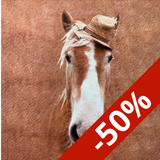 Tissu Jersey Stenzo imprimé cheval brun