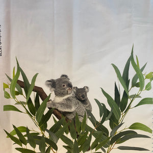 Panneau Jersey Stenzo BLANC koala