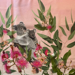 Panneau Jersey Stenzo koala rose