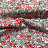 Coton fruit rouge