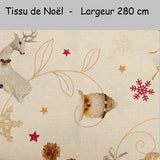 tissu de noel